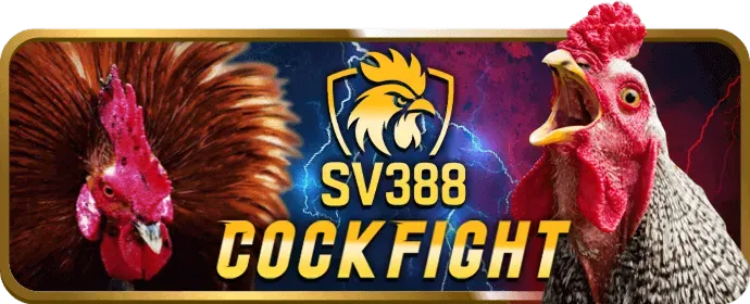 Cá cược thể thao atm99